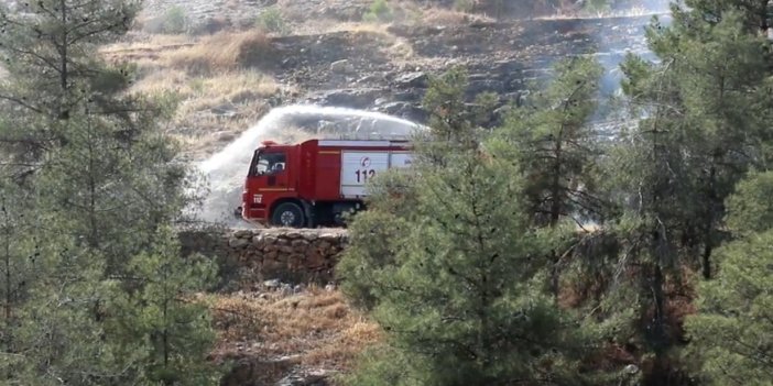 Urfa’da ormanlık alanlara giriş yasaklandı