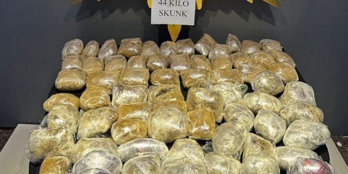 Malatya’da 44 kilogram skunk yakalandı