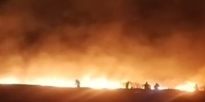 Tunceli’de çıkan yangın korkuttu: 100 dönümlük ekili alan zarar gördü