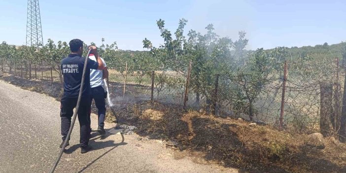 Siirt’te farklı noktalarda meydana gelen yangınlar büyümeden kontrol altına alındı