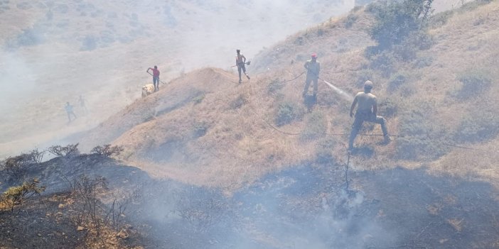 Bingöl’de çıkan orman yangını kontrol altına alındı