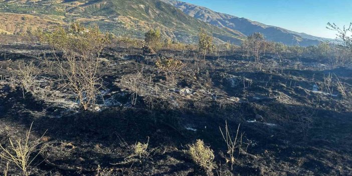 Elazığ’da yangın: 4 yurttaş yaralandı, yüzlerce kayısı ağacı yandı