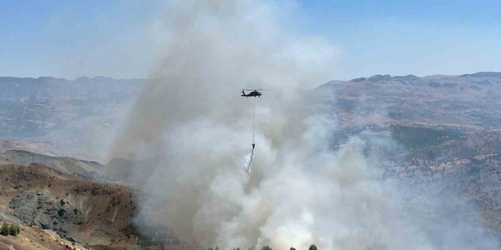 Adıyaman'da çobanın çay ateşi ormana sıçrayarak yayıldı