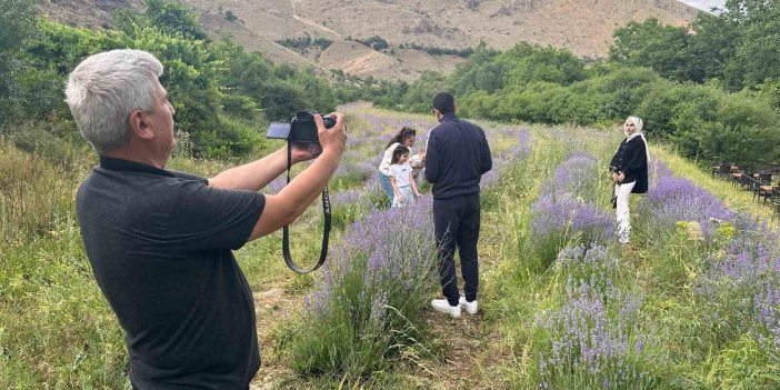 Erzincan’da lavanta üretimi için çalışmaları sürüyor