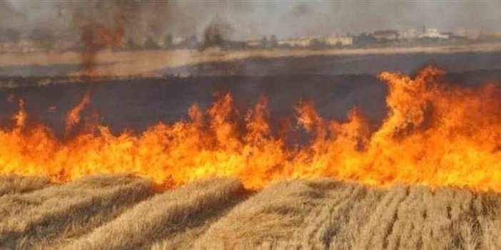 Arabanlı çiftçilere anız yakma yasağıyla ilgili duyuru yapıldı