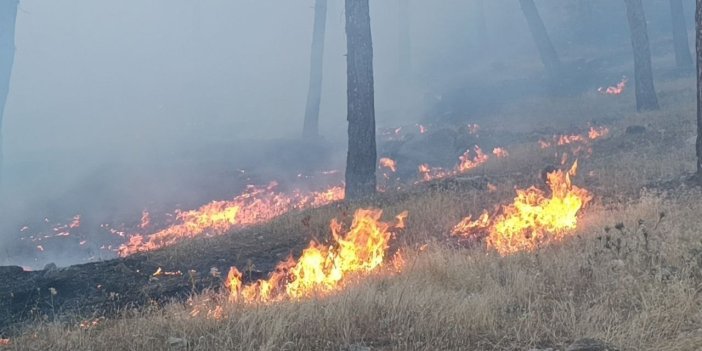 Antep’te çıkan anız yangını ormana yayılmadan kontrol altına alındı