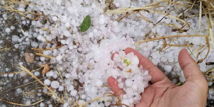 Erzincan’ın Tercan ilçesinde dolu yağışı etkili oldu