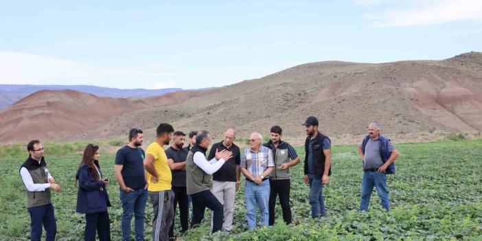 Kars’ın kavun ve karpuz ihtiyacı Digor’dan sağlanacak