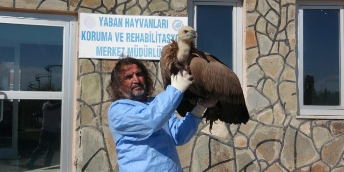 Prof. Dr. Lokman Aslan: “Çok sayıda zoonoz hastalık yaban hayvanlarından insana bulaşmaktadır”