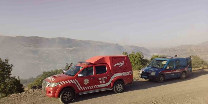 Malatya’da ormanlık alanda yangın çıktı