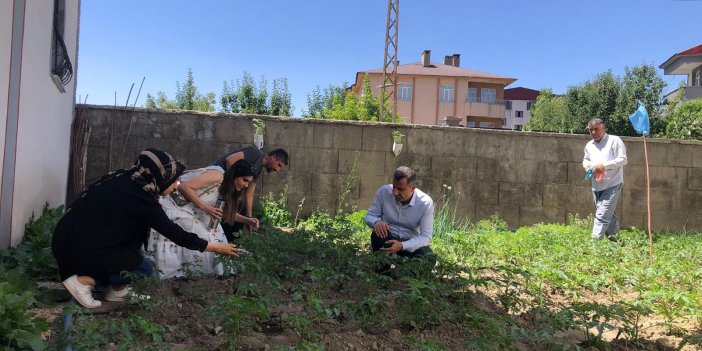 Yüksekova'da Tarım ve Orman Müdürü sebze fidelerini denetledi