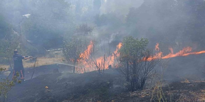 Malatya’da bahçelik alanda çıkan yangın korkuttu