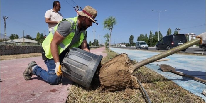 Iğdır Belediyesi şehrin farklı yerlerine ağaçlar dikti