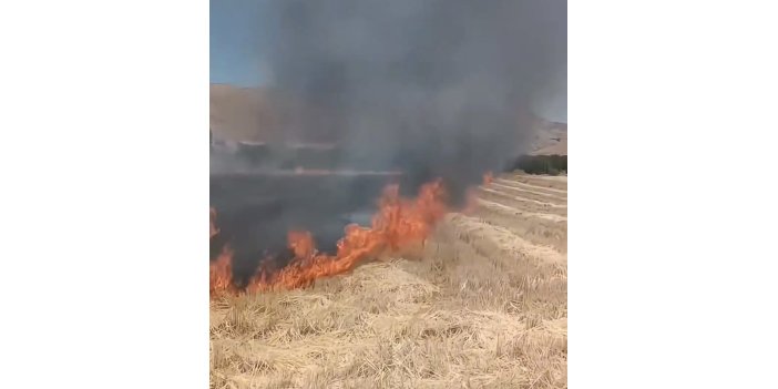 Elazığ’da tarlada çıkan anız yangını panik yarattı