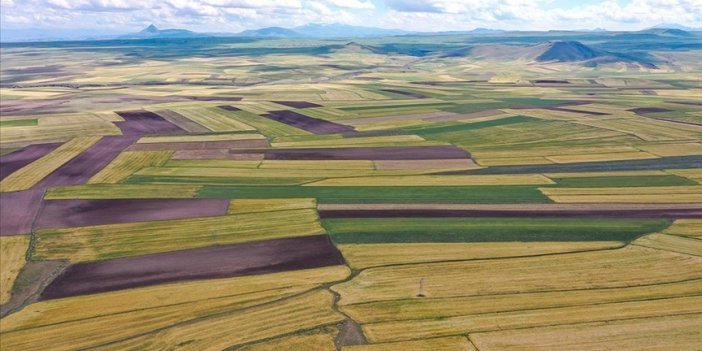 Uzmanlar arsa ve tarla alırken dikkat edilmesi gereken hususları açıkladı