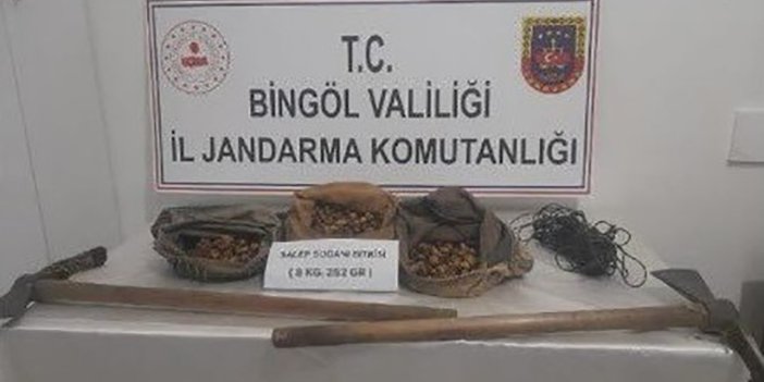 Bingöl’de salep soğanı toplayanlar yakalandı, 1 milyon 161 bin lira ceza uygulandı