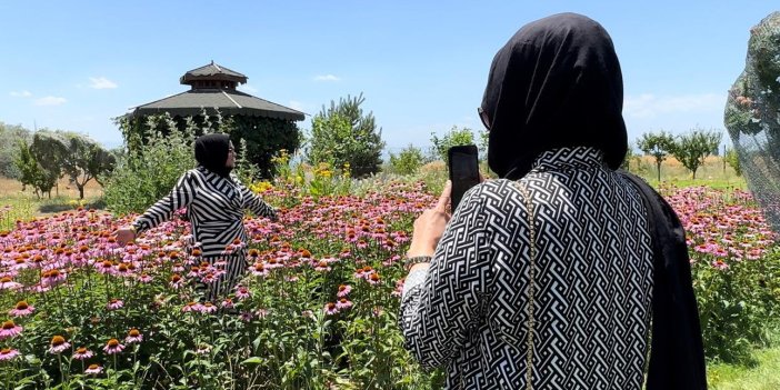 Van’da tıbbi bitkiler, doğal fotoğraf stüdyosu olarak kullanılıyor