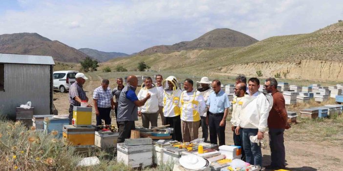 Oltu'da arıcılara ana arı üretimi öğretildi