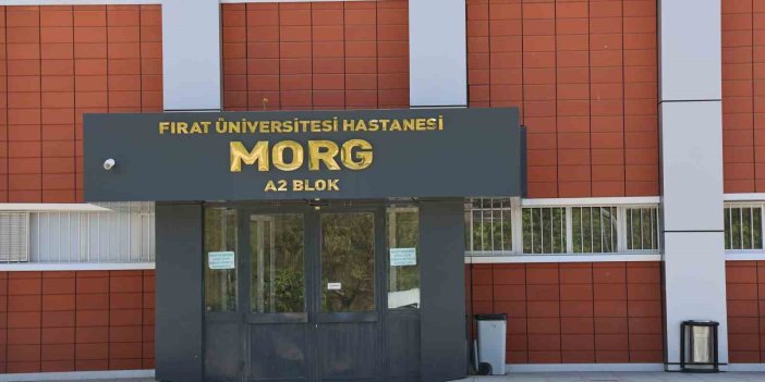 Elazığ’da araç şarampole yuvarlandı: 1 kişi öldü