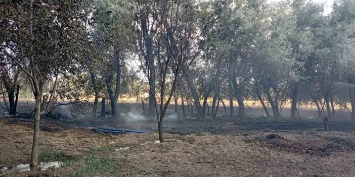 Elazığ’da  korkutan yangın