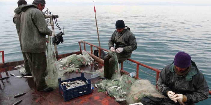 Balıkçılar Van Gölü’nde ava başladı