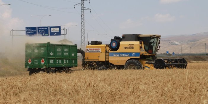 Erzincan’da hububat tarlalarında hasat işlemi başladı