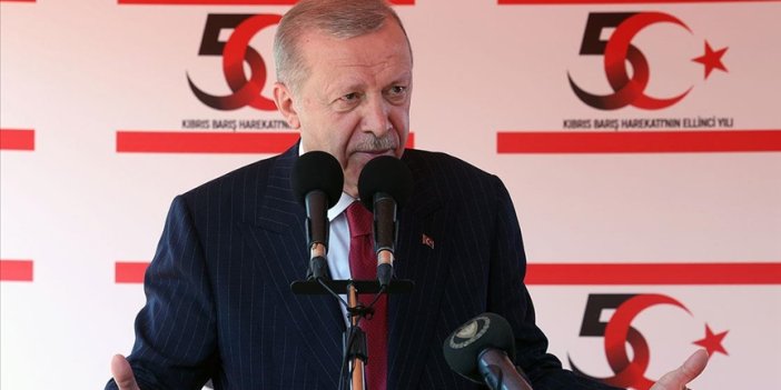Cumhurbaşkanı Erdoğan: Kıbrıs'ta kalıcı barışı ve çözümü sağlamaya hazırız