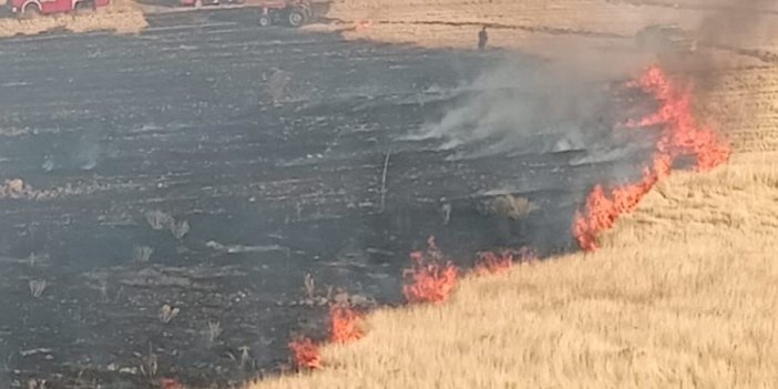 Malatya’da bir hektarlık alanda anız yangını korkuttu