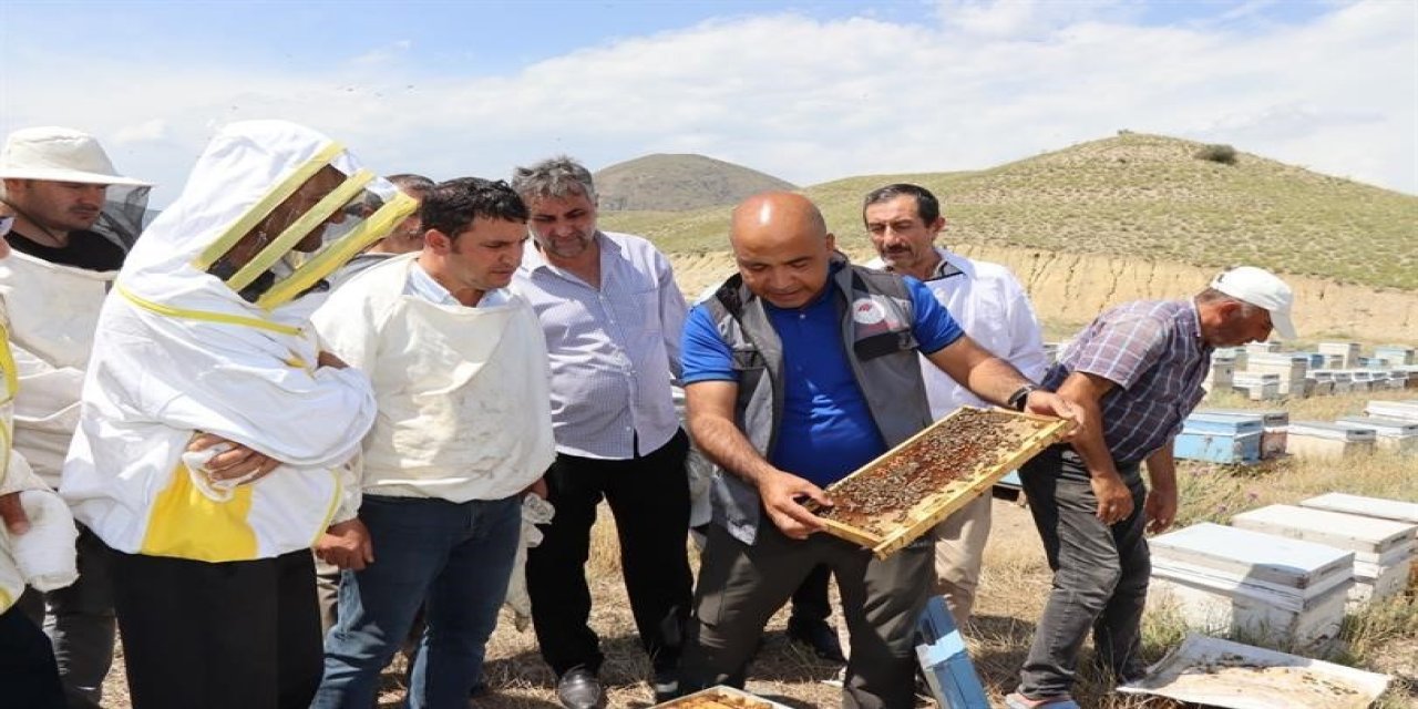 Erzurum: Arıcılıkta “Ana Arı” en önemli faktör