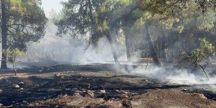 Antep’teki orman yangını kontrol altına alındı