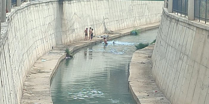 Yüksekova'da sıcaktan bunalan çocuklar kirli derede yüzdü