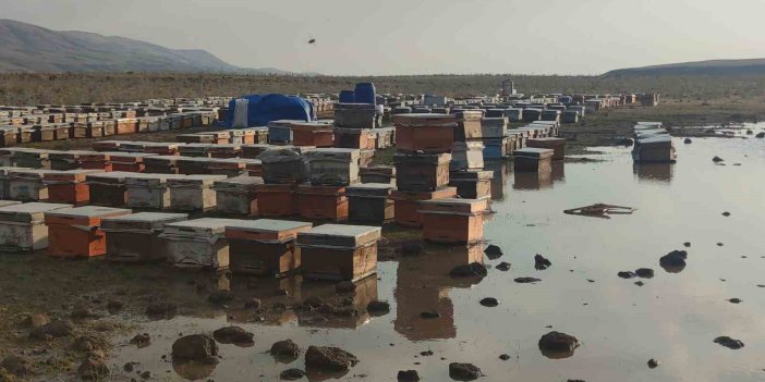 Van’da sağanak yağmur arı kovanlarına zarar verdi