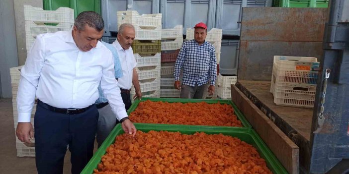 Malatya’da lisanslı depolar 2 haftada yaklaşık bin 500 ton ürün alımı gerçekleştirdi