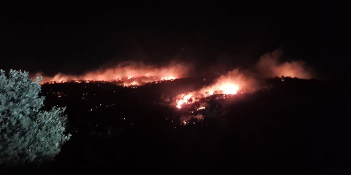 Mardin’de gece saatlerinde korkutan yangın söndürüldü