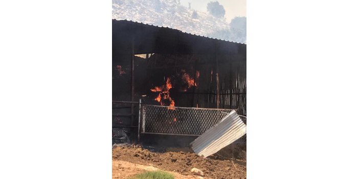 Adıyaman'da ormanlık alanda çıkan örtü yangını ahıra sıçradı