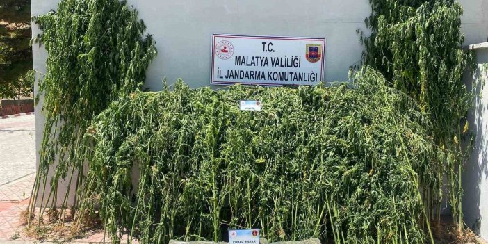 Malatya’da çok sayıda uyuşturucu ele geçirildi