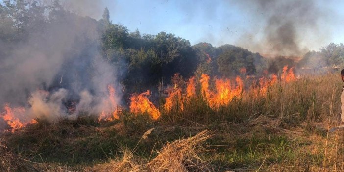 Malatya’da 4 ayrı noktada anız ve orman yangını çıktı