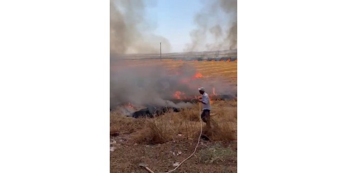 Ağaçları yanmasın diye mücadele etti