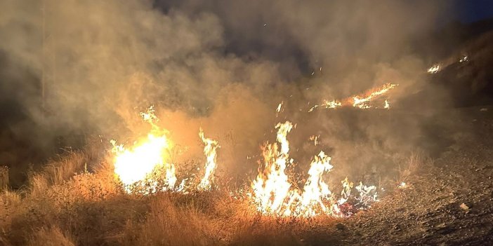 Hakkari'de gece yarısı çıkan anız yangını korkuttu