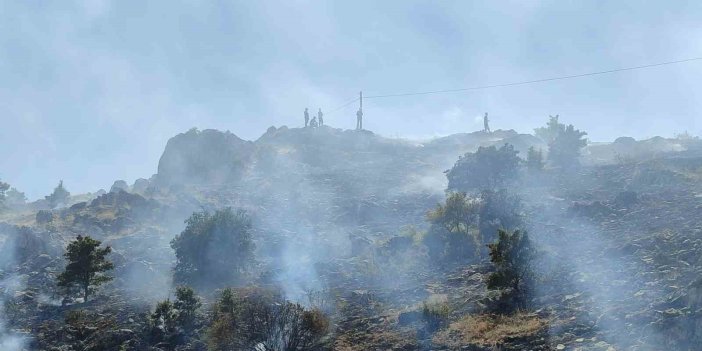 Malatya’da 3 ayrı noktada çıkan ot yangını korkuttu