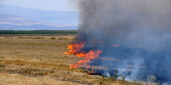 Bulanık’ta tüm uyarılara rağmen çiftçiler anız yakmayı sürdürüyor