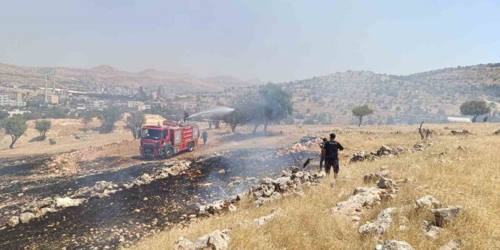 Mardin’de ormanlık alanda çıkan yangın korkuttu