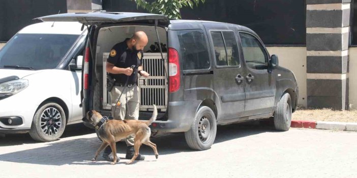 Narkotik köpeği Gill ilk görevinde uyuşturucuyu buldu