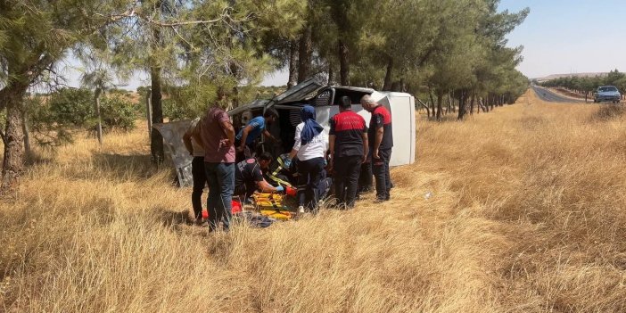 Urfa'da kontrolden çıkan otomobil ağaca çarptı: 2 yaralı