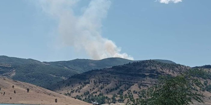 Dersim’de orman yangını