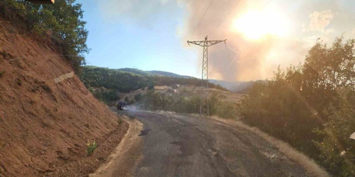 Bingöl’deki orman yangınına müdahale sürüyor