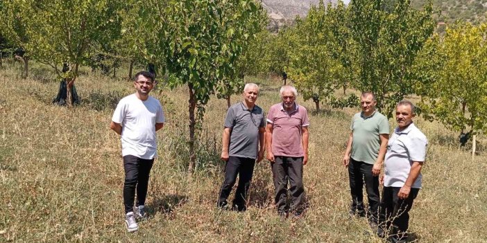 74 yaşındaki öğretmen 19 bin ağacı toprakla buluşturdu