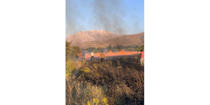 Gevaş’ta çıkan ot yangını korkuttu