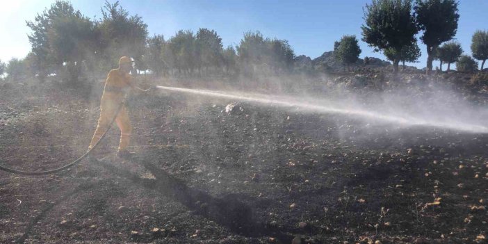 Adıyaman'daki örtü yangınında 40 hektar alan küle döndü