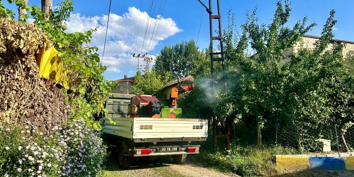 Yüksekova'da haşerelere karşı ilaçlama çalışmaları sürüyor